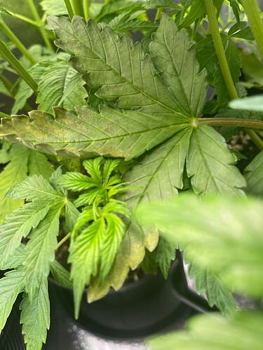 Growreport Bild 11