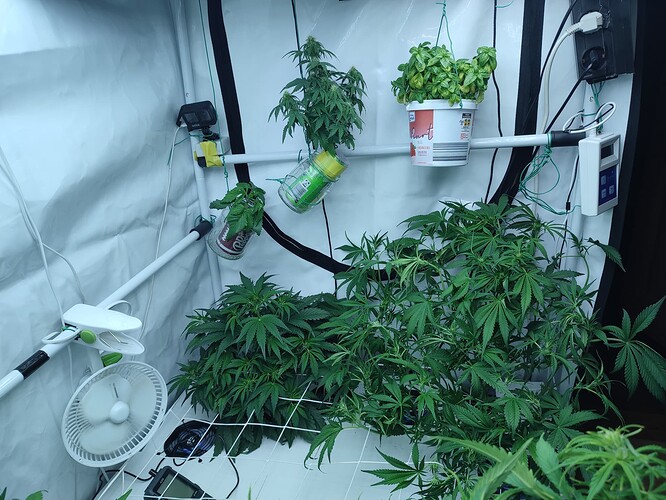 Growreport Bild 39