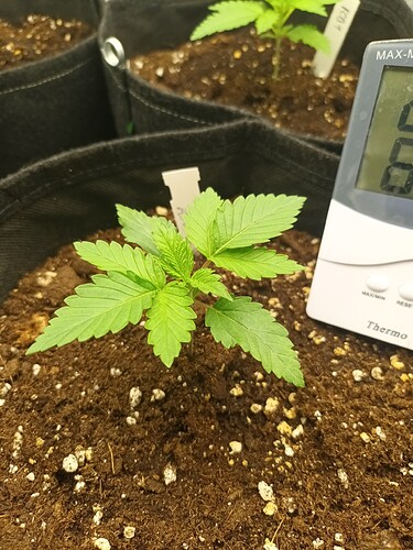 Growreport Bild 27