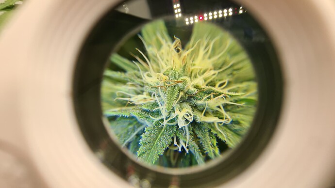 Growreport Bild 9