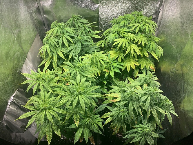 Growreport Bild 1