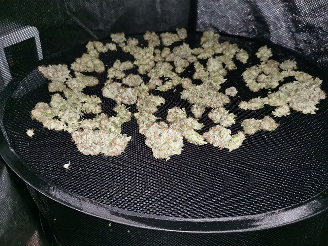 Growreport Bild 18