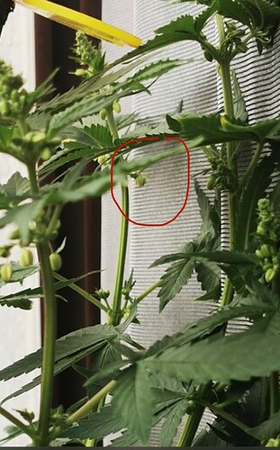 Growreport Bild 13