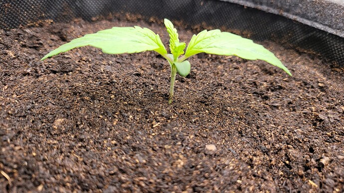 Growreport Bild 118