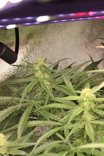Growreport Bild 16