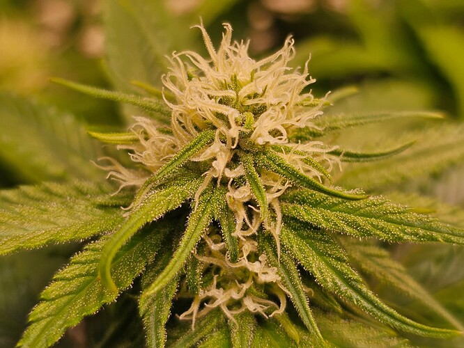 Growreport Bild 9