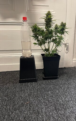 Growreport Bild 15