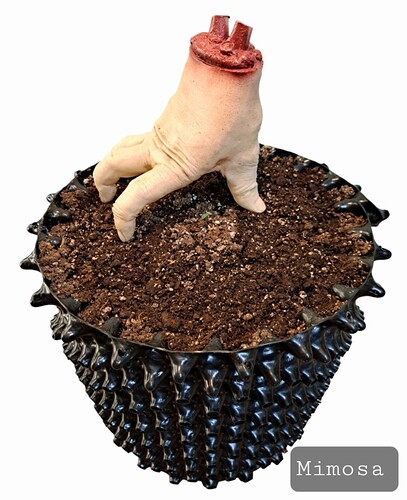 Screenshot_20231129_123747