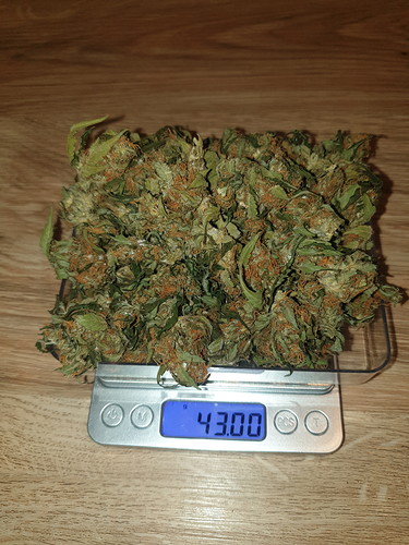 Growreport Bild 8