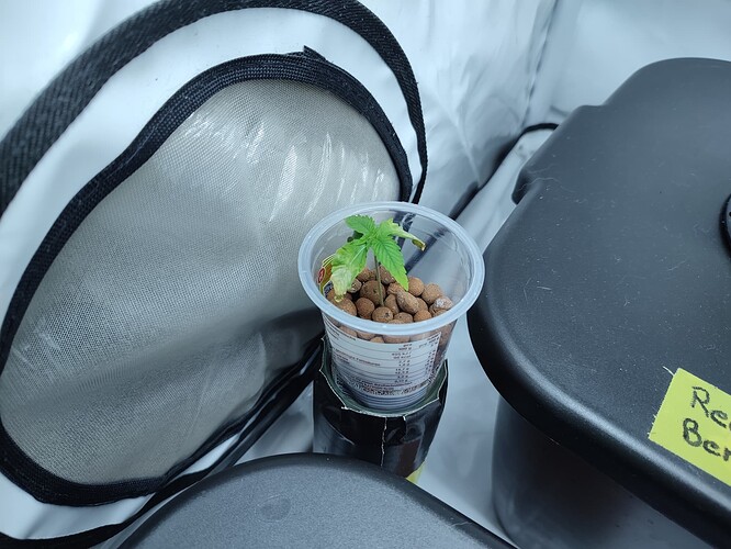 Growreport Bild 24