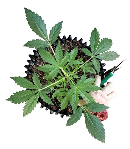 Screenshot_20231220_105211_PhotoRoom