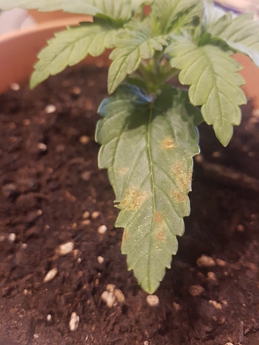Growreport Bild 14