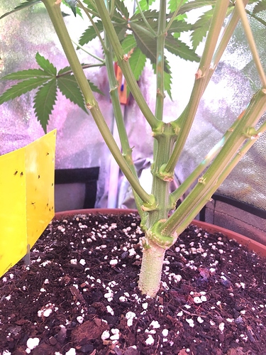 Growreport Bild 21