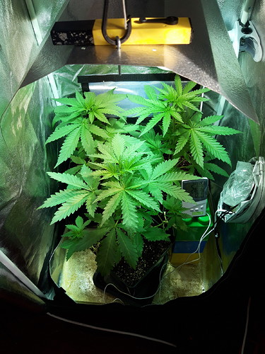 Growreport Bild 11