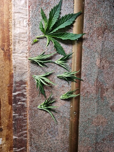 Growreport Bild 17