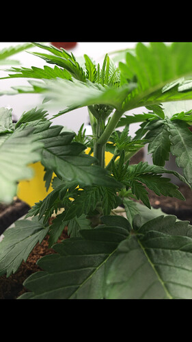 Growreport Bild 24