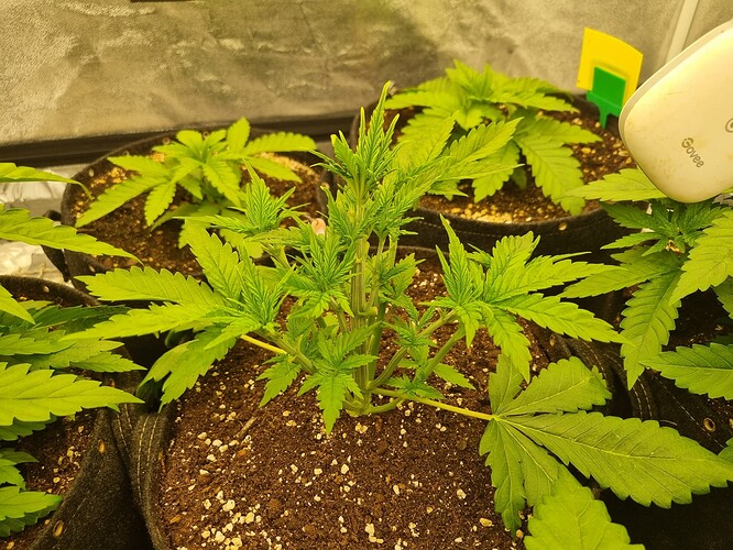Growreport Bild 20