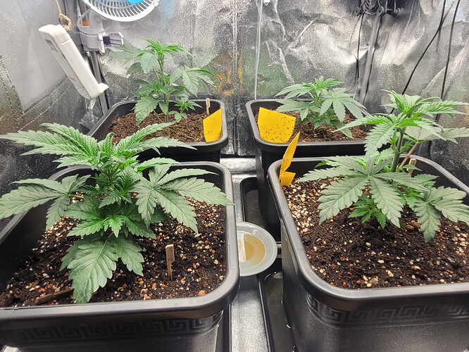 Growreport Bild 8