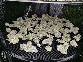 Growreport Bild 5