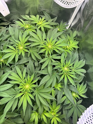 Growreport Bild 22