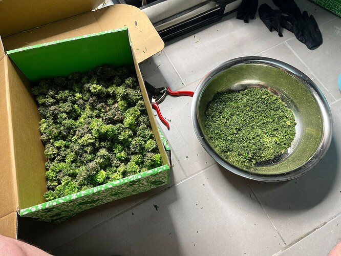 Growreport Bild 6