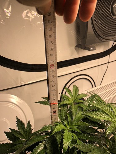 Growreport Bild 18