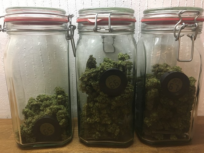 Growreport Bild 1