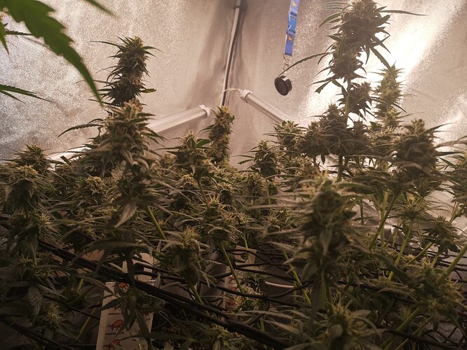 Growreport Bild 11