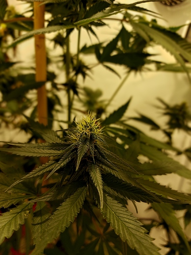 Growreport Bild 12