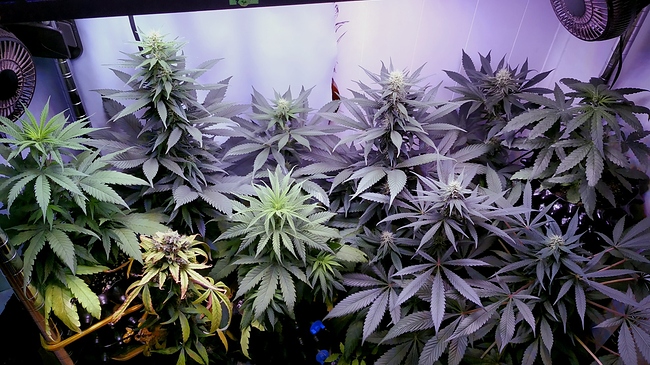 gruppe_3 Generationen_1neu