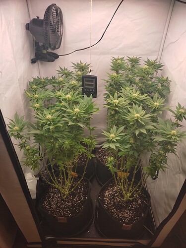 Growreport Bild 17