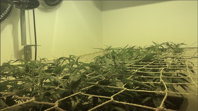 Growreport Bild 24