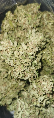 Growreport Bild 8