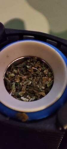 Growreport Bild 4