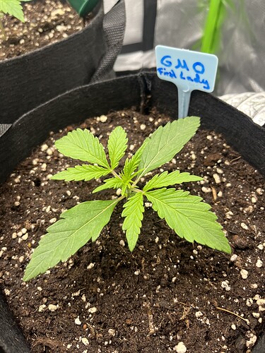 Growreport Bild 23