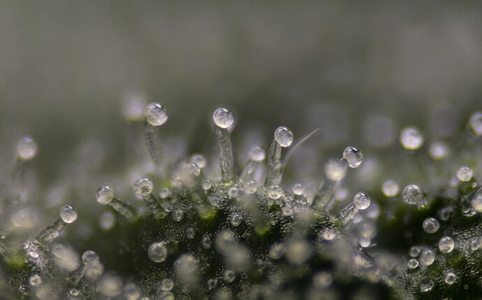 Finish 2246-2250-editraw