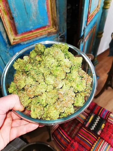 Growreport Bild 12