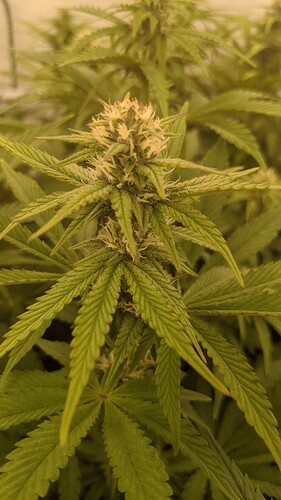 IMG_20231229_091701_791