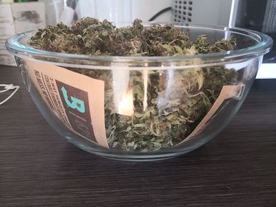 Growreport Bild 2