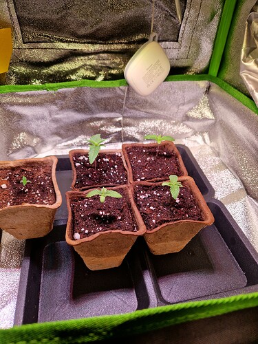 Growreport Bild 14