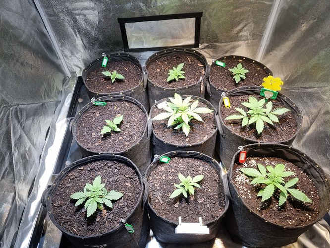 Growreport Bild 16