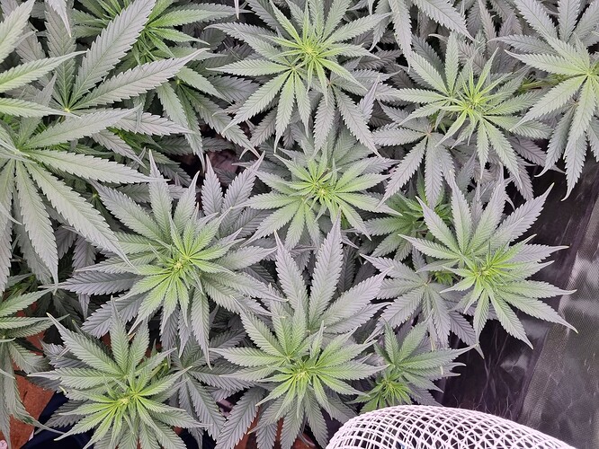 Growreport Bild 21