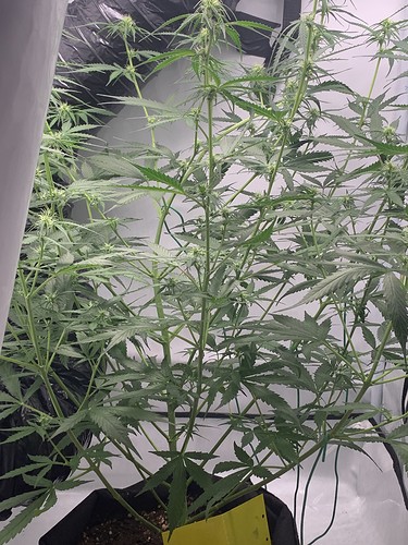 Growreport Bild 22