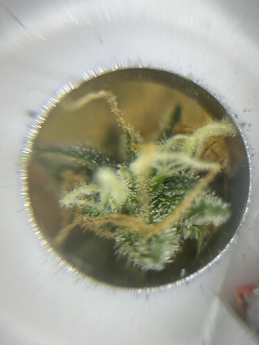 Growreport Bild 18