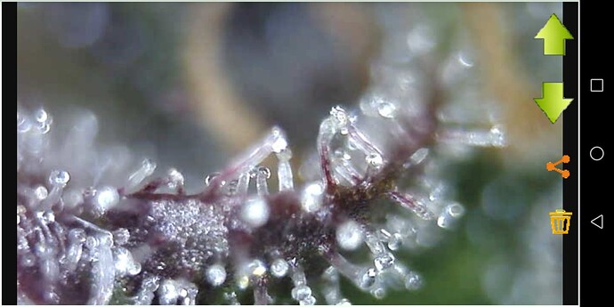 Screenshot_20230608-203817