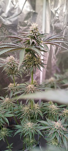 20220106_124333