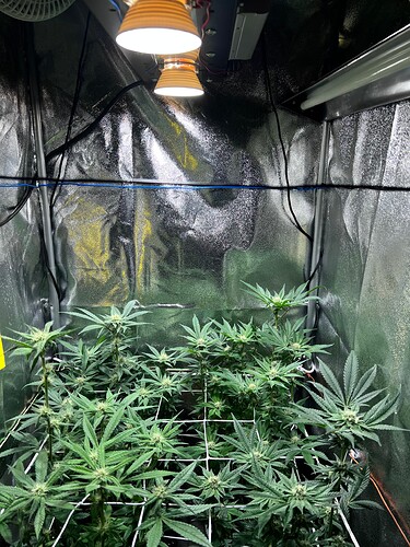 Growreport Bild 4