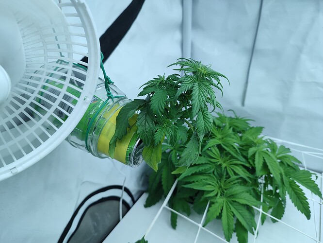 Growreport Bild 19