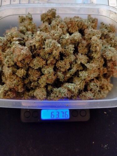 Growreport Bild 12