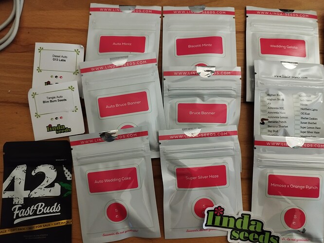 Growreport Bild 10